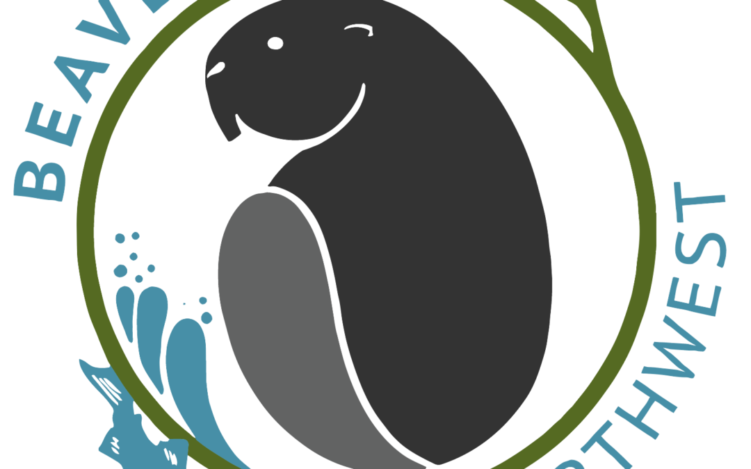 Beavers Northwest
