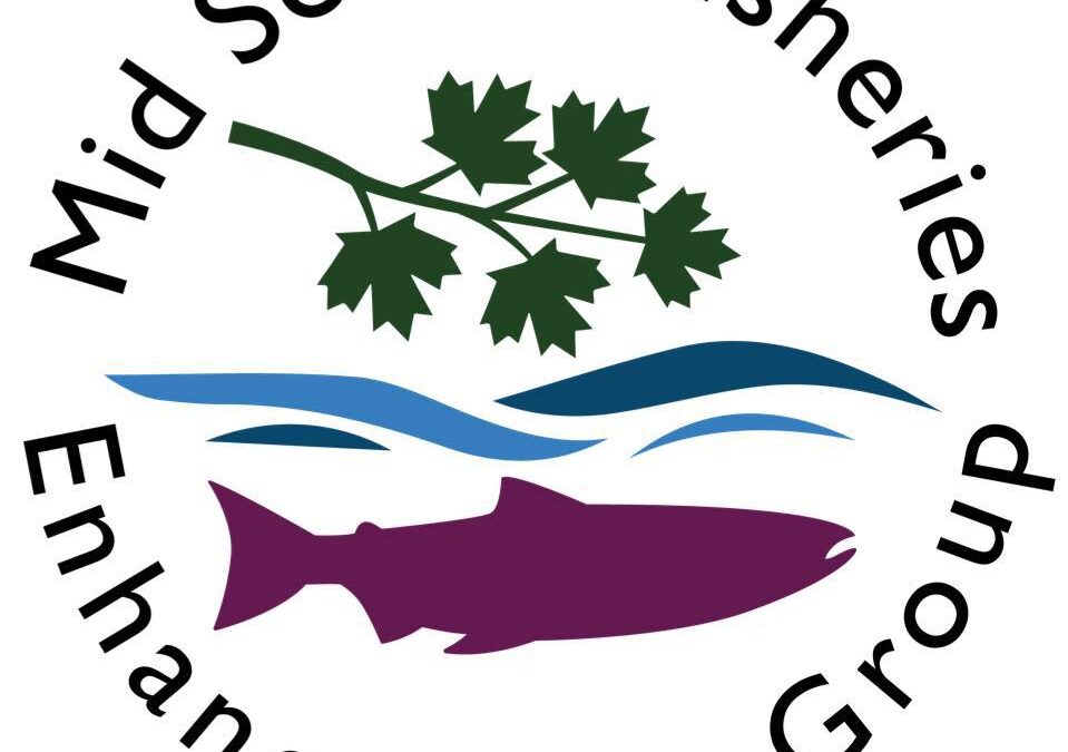 Mid Sound Fisheries Enhancement Group