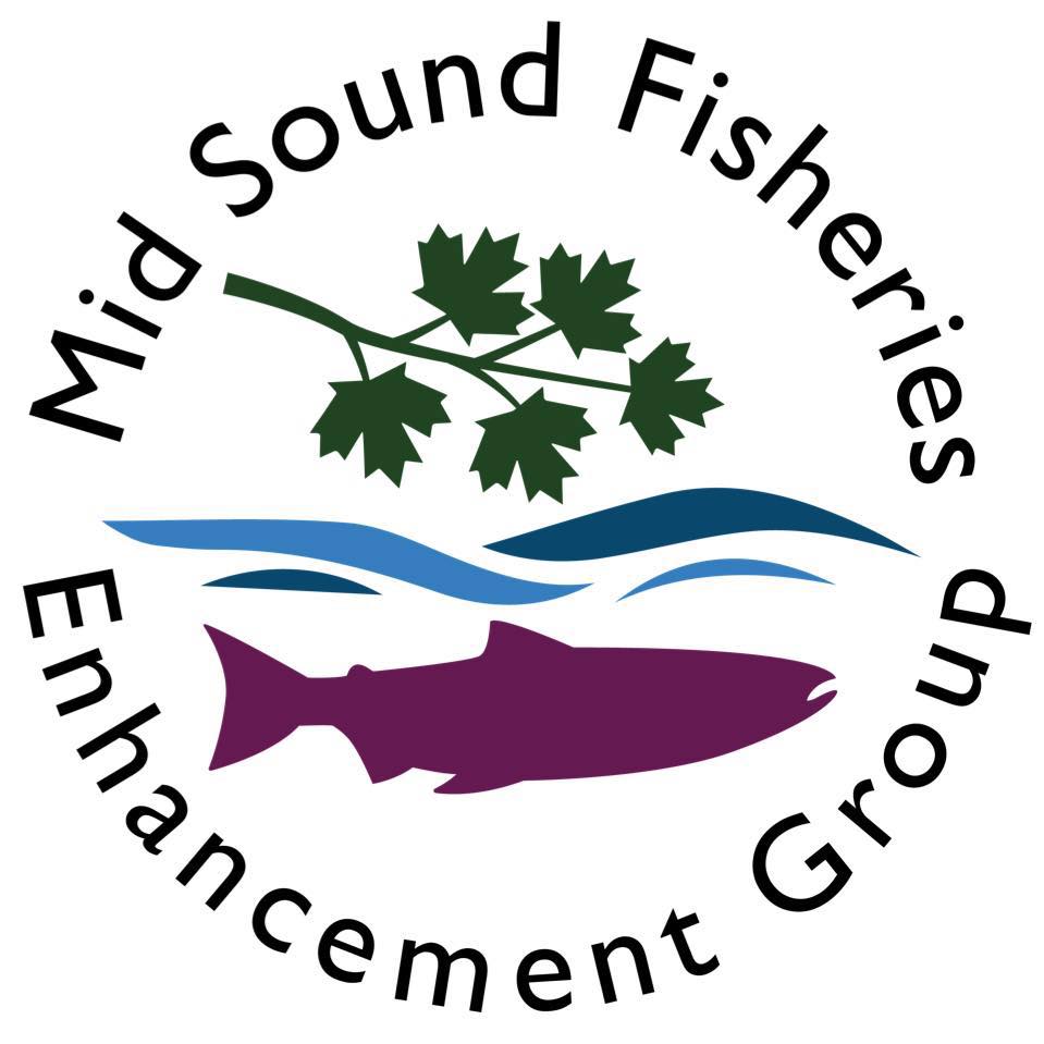 Mid Sound Fisheries Enhancement Group