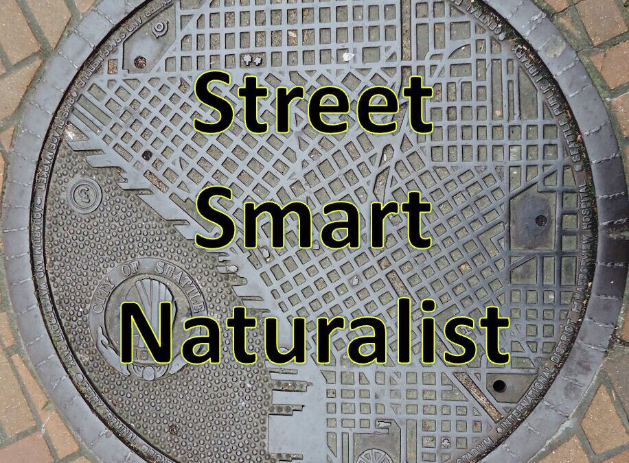 Street-Smart Naturalist
